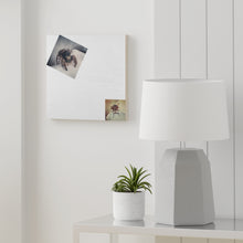 Load image into Gallery viewer, Spider Hunts Fly™