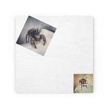 Load image into Gallery viewer, Spider Hunts Fly™
